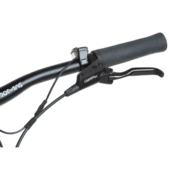 Momas Wayfarer+ Premium